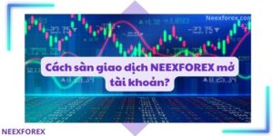 Cách sàn giao dịch NEEXFOREX mở tài khoản như thế nào?