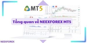 NEEXFOREX