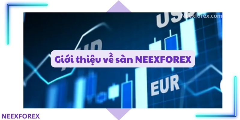 Giới thiệu về sàn NEEXFOREX