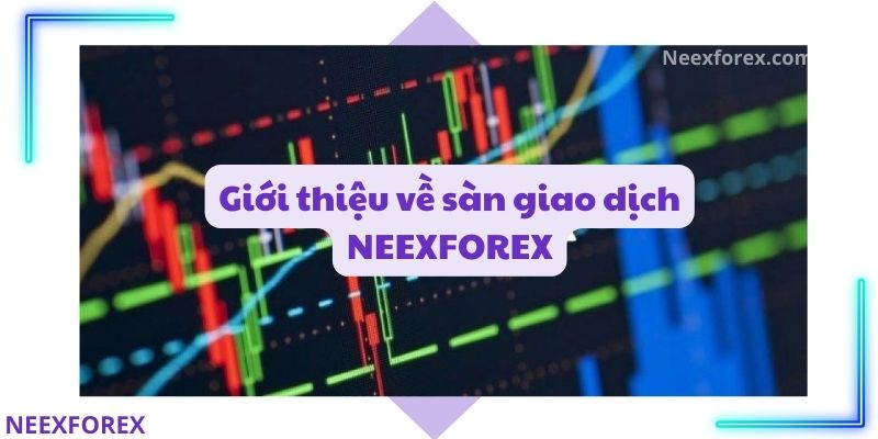 Giới thiệu về sàn giao dịch NEEXFOREX