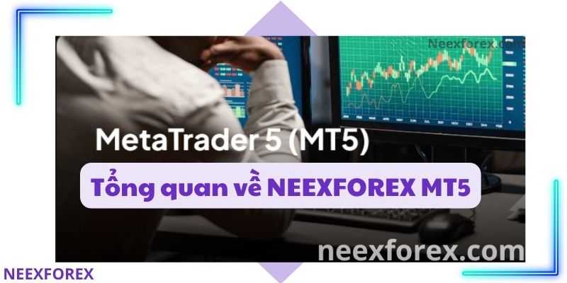 Tổng quan về NEEXFOREX MT5